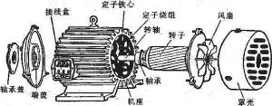 振動電機損壞的常見原因有哪些？